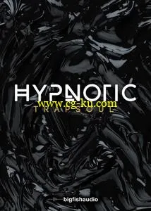 音效下载Big Fish Audio Hypnotic Trapsoul KONTAKT的图片1