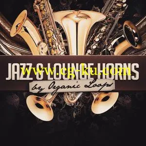 音效下载Organic Loops Jazz and Lounge Horns MULTiFORMAT的图片1