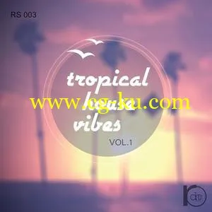 音效下载Roundel Sounds Tropical House Vibes Vol.1 MULTiFORMAT的图片1