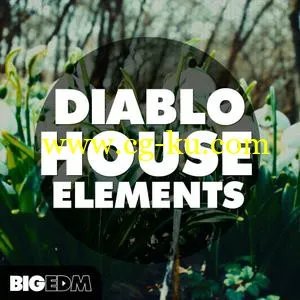 音效下载WA Production Diablo House Elements MULTiFORMAT的图片1