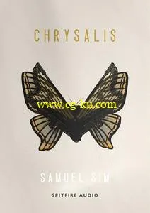 音效下载Spitfire Audio Samuel Sim Chrysalis KONTAKT的图片1