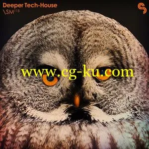 音效下载Sample Magic Deeper Tech-House MULTiFORMAT的图片1