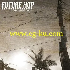 音效下载LNDN Future Hop WAV的图片1