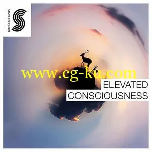 音效下载Samplephonics Elevated Consciousness MULTiFORMAT的图片1