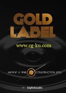 音效下载Big Fish Audio Gold Label Hip Hop and RnB MULTiFORMAT的图片1