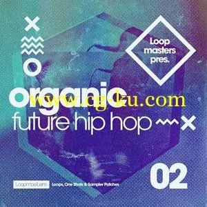 音效下载Loopmasters Organic Future Hip Hop 2 MULTiFORMAT的图片1