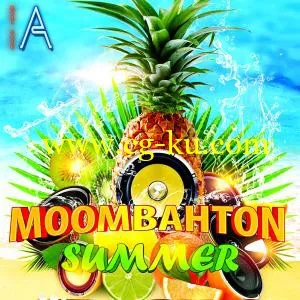 Fox Samples  Must Have Audio - Moombahton Summer WAV MiDi的图片1