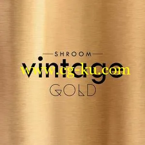 音效下载Shroom Vintage Gold WAV的图片1