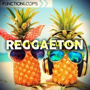 音效下载Function Loops Reggaeton WAV MiDi SYLENTH1的图片1