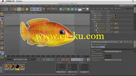 Cinema 4D Essential Training 6 HyperNURB Modeling and Sculpting的图片1