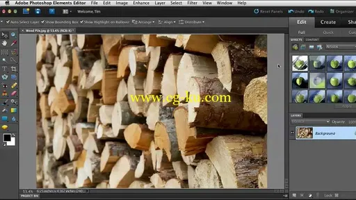 Photoshop Elements 10Quick Fixes的图片1