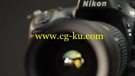 Nikon D800 Essential Training的图片1