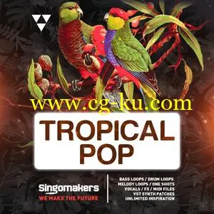 音效下载Singomakers Tropical Pop MULTiFORMAT的图片1