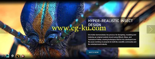 The Gnomon Workshop – Hyper-realistic Insect Design with Eric Keller的图片1