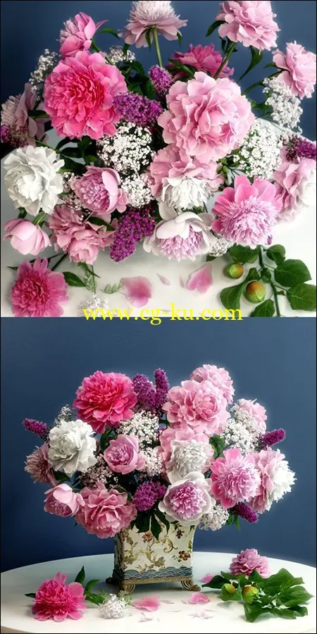 牡丹花3d模型的图片1