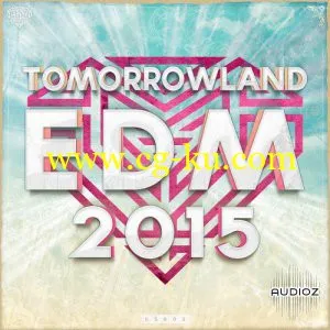 Diamond Samples Tomorrowland EDM 2015 WAV MiDi的图片1