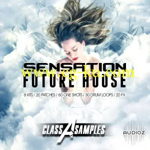 Class A Samples Sensation Future House WAV MiDi Sylenth and Massive的图片1