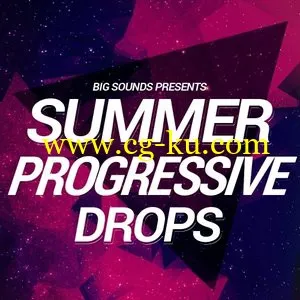 Big Sounds Summer Progressive Drops WAV MiDi的图片1