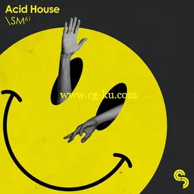 Sample Magic Acid House MULTiFORMAT的图片1