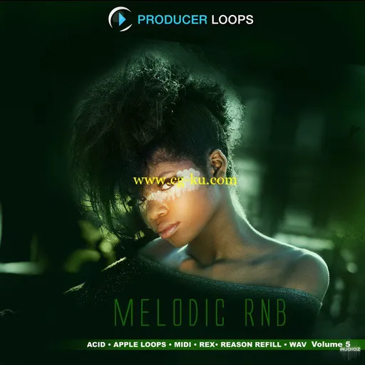 Producer Loops Melodic RnB Vol 5 ACID WAV REX MIDI-DISCOVER的图片1