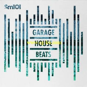 SM101 MIDI Elements Garage House Beats MULTiFORMAT的图片1