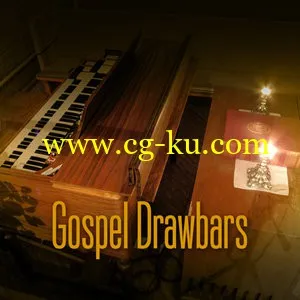 PrecisionSound Gospel Drawbars KONTAKT EXS24的图片1