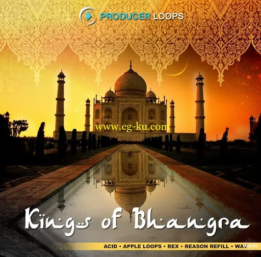 Producer Loops Kings of Bhangra Vol.1 ACID WAV REX REFILL-DISCOVER的图片1