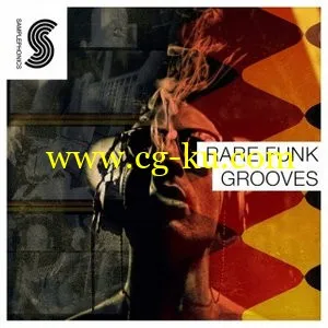 Samplephonics Rare Funk Grooves WAV的图片1