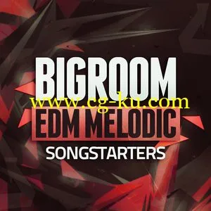 Mainroom Warehouse Bigroom EDM Melodic Songstarters [WAV MiDi]的图片1