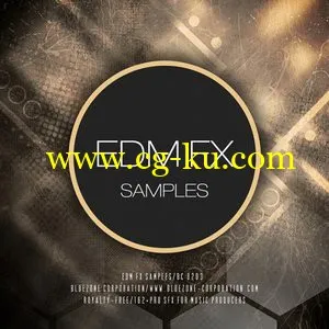 Bluezone Corporation EDM FX Samples [WAV/AiFF]的图片1