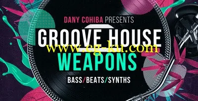 Loopmasters Danny Cohiba Groove House Weapons MULTiFORMAT的图片1