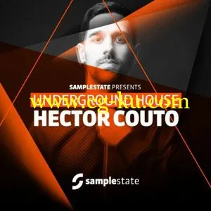 Samplestate Hector Couto Underground House WAV REX的图片1