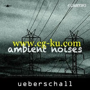 Ueberschall Ambient Noises ELASTiK的图片1