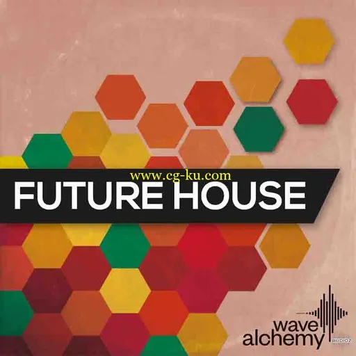 Wave Alchemy Future House MULTiFORMAT-MAGNETRiXX的图片1