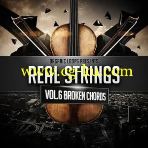 Organic Loops Real Strings Vol.6 Broken Chord的图片1