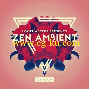 Loopmasters Zen Ambient MULTiFORMAT的图片1