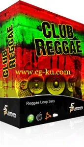 P5 Audio Club Reggae Construction Loop Sets MULTiFORMAT的图片1