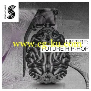 Samplephonics Histibe Future Hip Hop [ACiD WAV]的图片1