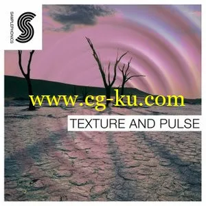 Samplephonics Texture and Pulse MULTiFORMAT的图片1