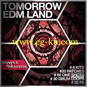 Sample Tweakers Tomorrow EDM Land WAV MiDi Sylenth Spire的图片1