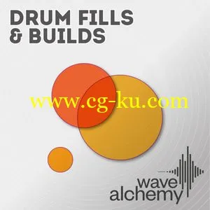 Wave Alchemy Drum Fills and Builds [WAV/REX2AiFF]的图片1