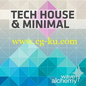 Wave Alchemy Tech House and Minimal MULTiFORMAT的图片1