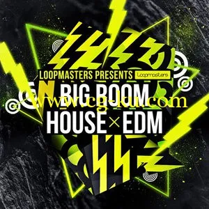 Loopmasters Big Room House and EDM MULTiFORMAT的图片1