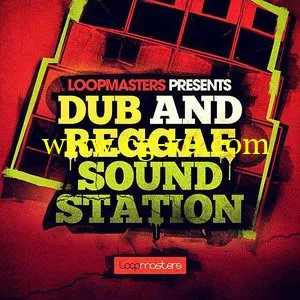 Loopmasters Dub and Reggae Sound Station MULTiFORMAT的图片1