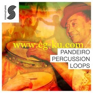 Samplephonics Pandeiro Percussion Loops MULTiFORMAT的图片1