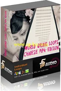 P5 Audio World Grime Loops and Licks Chinese Pipa MULTiFORMAT的图片1