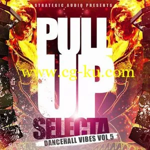 Strategic Audio Pull Up Selecta Dancehall Vibes Vol.5 [WAVMiDiFLP]的图片1