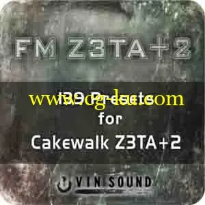 Vin Sound FM Z3TA 2 KONTAKT的图片1