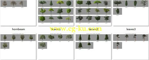3d 出品的树木&松树模型库的图片1