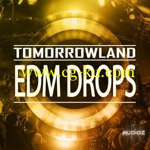 Mainroom Warehouse Tomorrowland EDM Drops WAV MiDi-MAGNETRiXX的图片1